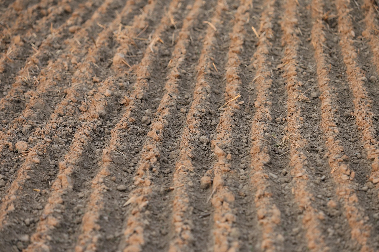 新NISAでクレカ積立を利用する際の還元率が高い方法は？