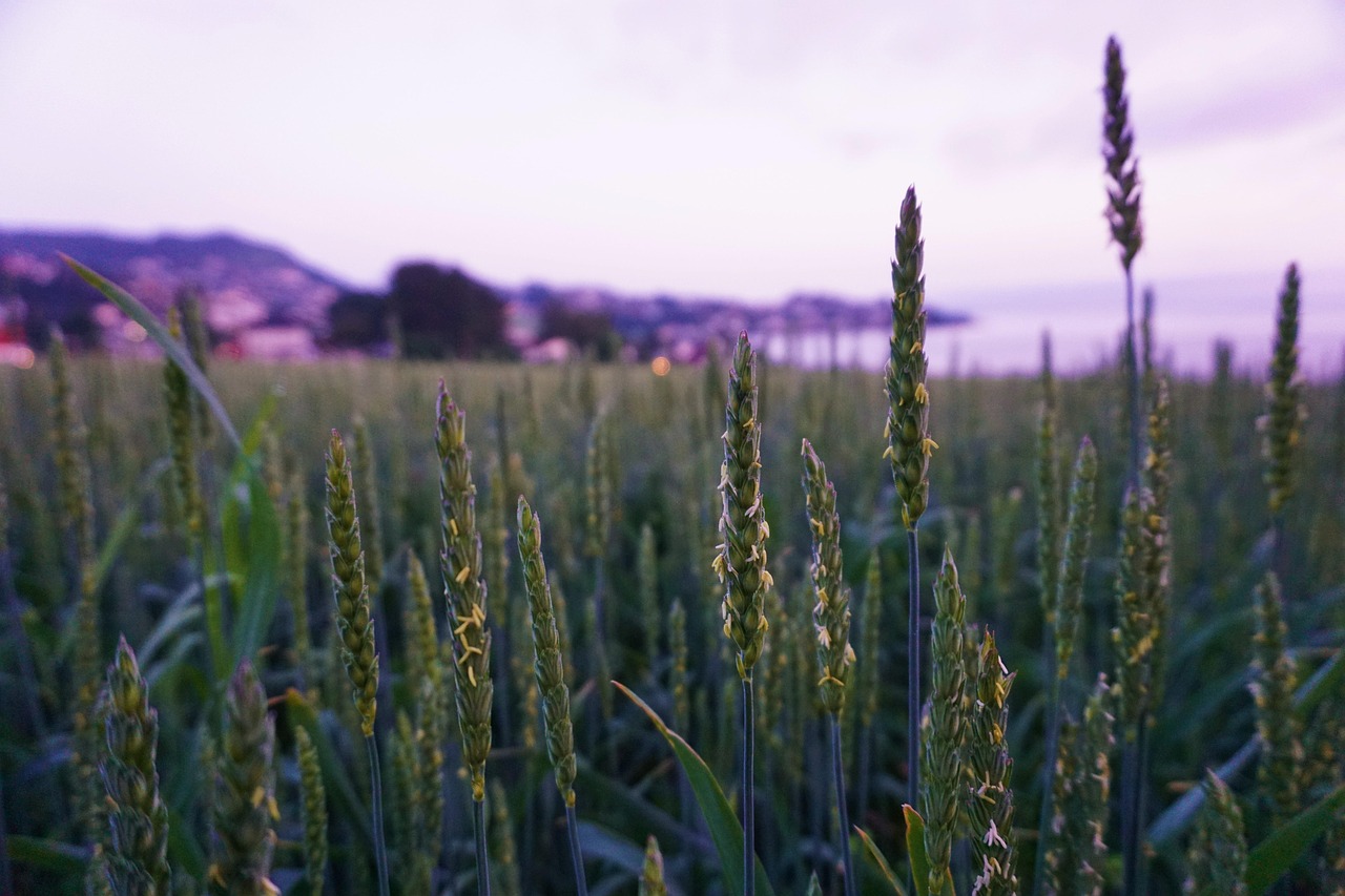 新NISAの特定口座への移換可否について知っておくべきことは？