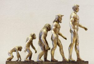 新NISAの積立引き落とし日を変更する方法は？
