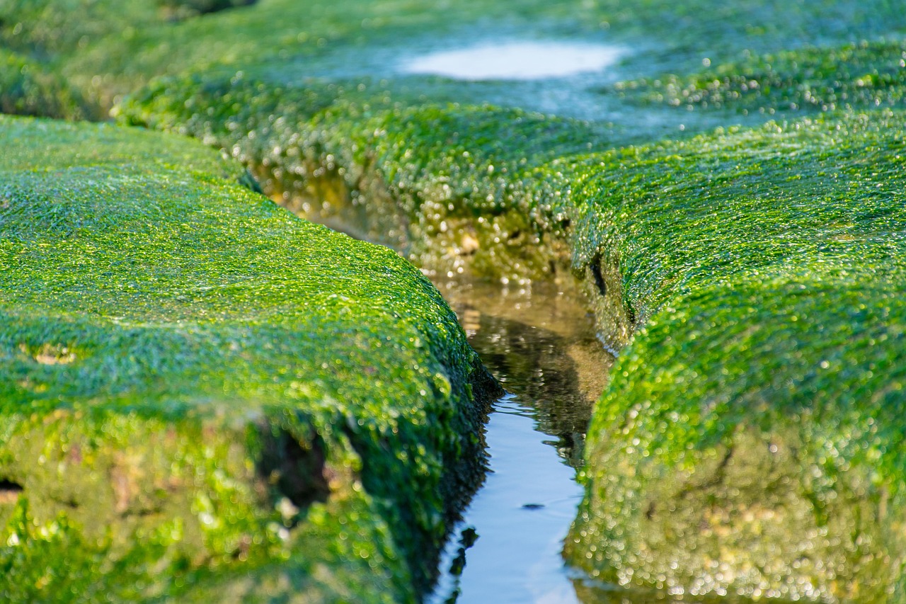 新NISAのエラーコードに対する最適な対処方法は？