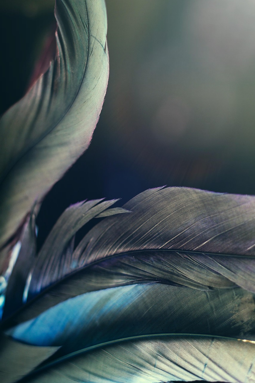 新NISAを利用したみずほと楽天のポイント比較はどうなっているの？