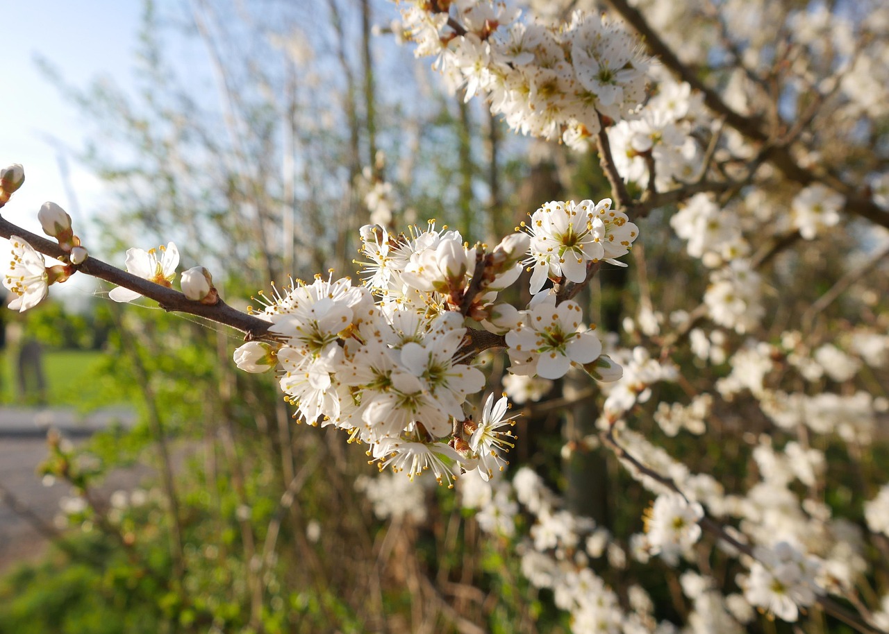 新NISAを利用したみずほと楽天の比較ポイントは？