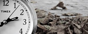 新NISAで積立の曜日を変更できる方法とは？