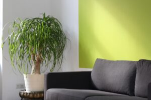 NISA投資セミナーに参加するために必要な準備は？