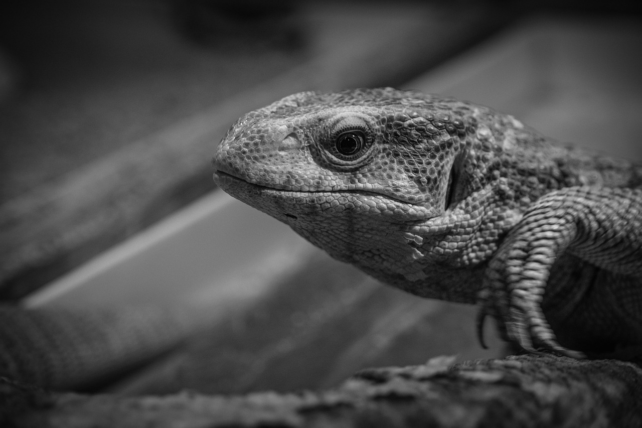 NISA信託の報酬比較で得られるメリットとは？