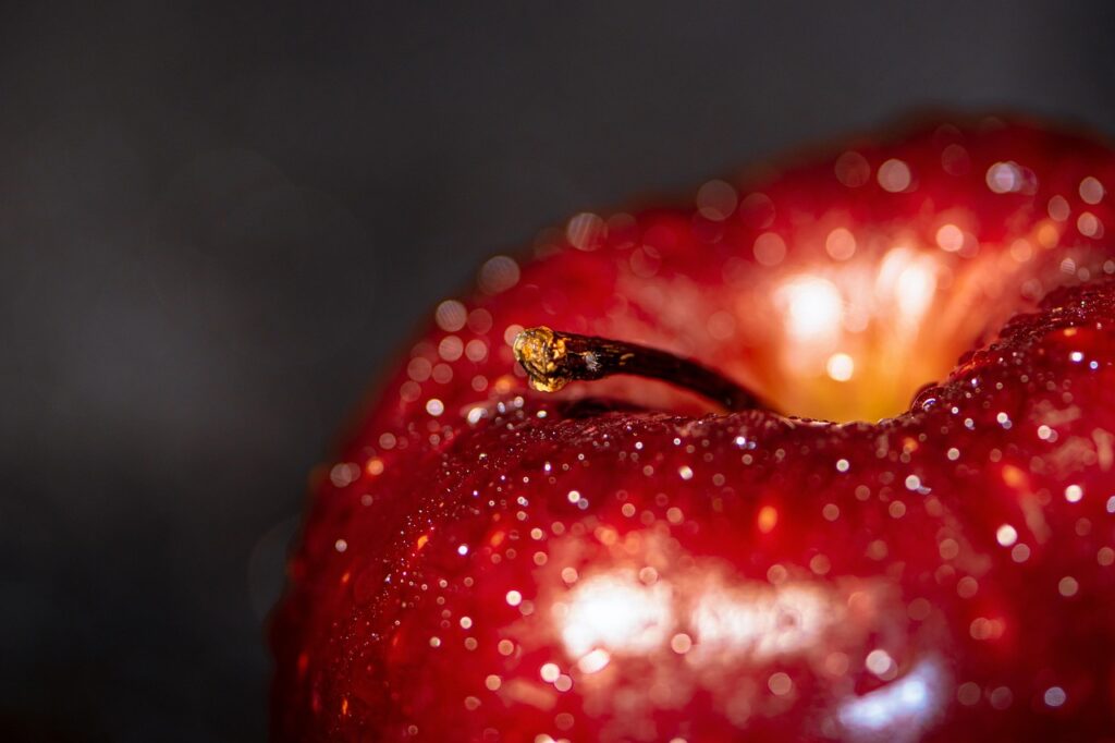 NISA比較人気ランキングはどれが本当におすすめ？